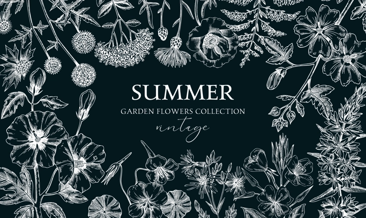 Hand drawn summer background. Garden flowers frame design in sketch style. Botanical illustrations on chalkboard. Floral banner for prints, cards, posters